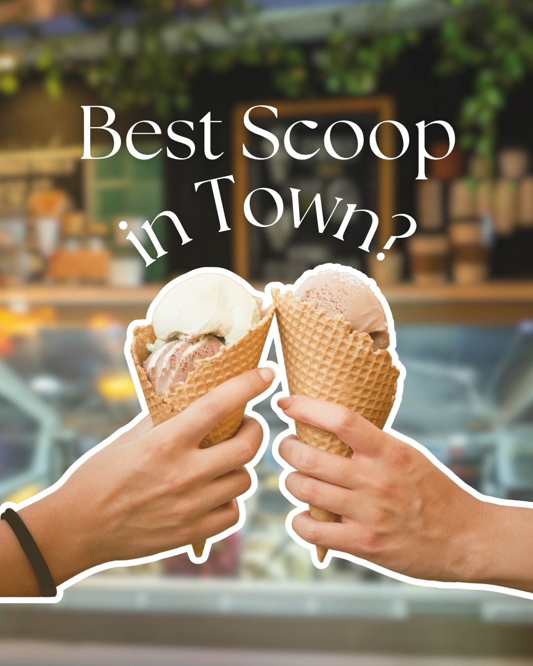Ice Cream Shop